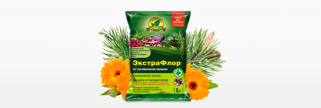 pine-5ed64cd44d8841.84748944.png
